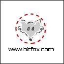 BITFOX® Fernwartung